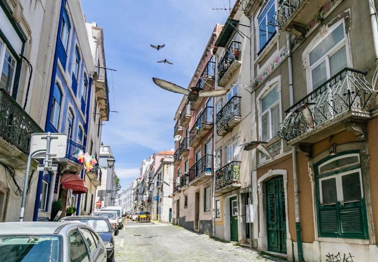 Estúdio em Lisboa - Bairro Alto Stylish II by Hosty