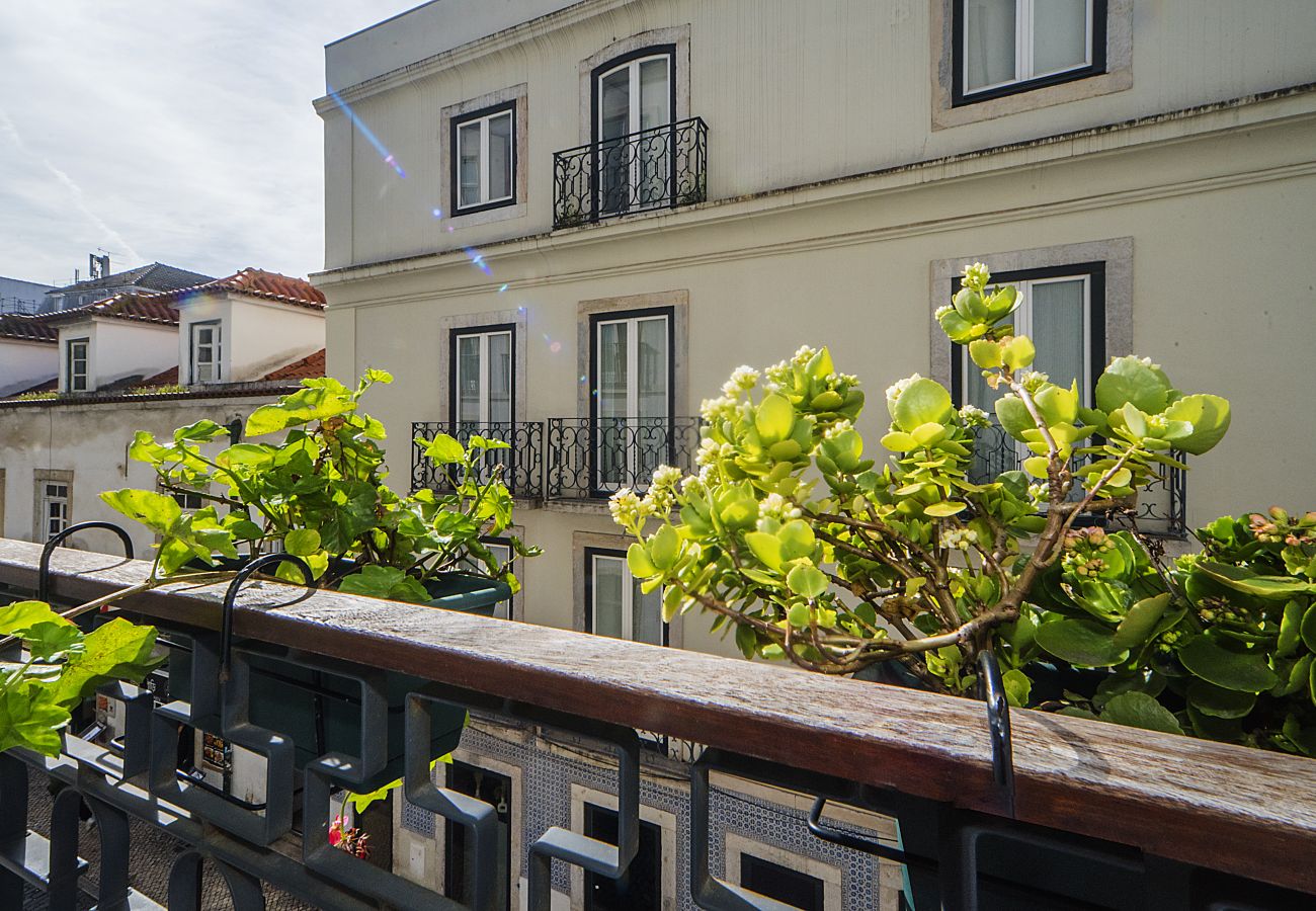 Studio in Lisbon - Intendente Prime Studio by Hosty